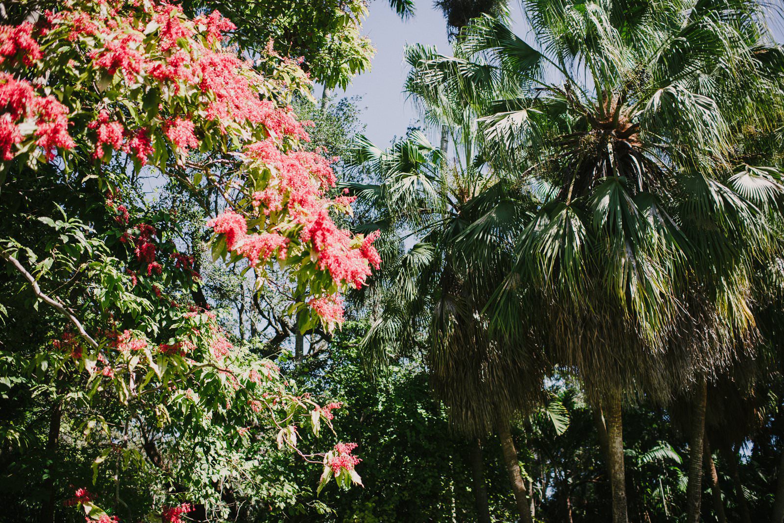 Fairchild Tropical Gardens Wedding Evan Rich Photography (2)